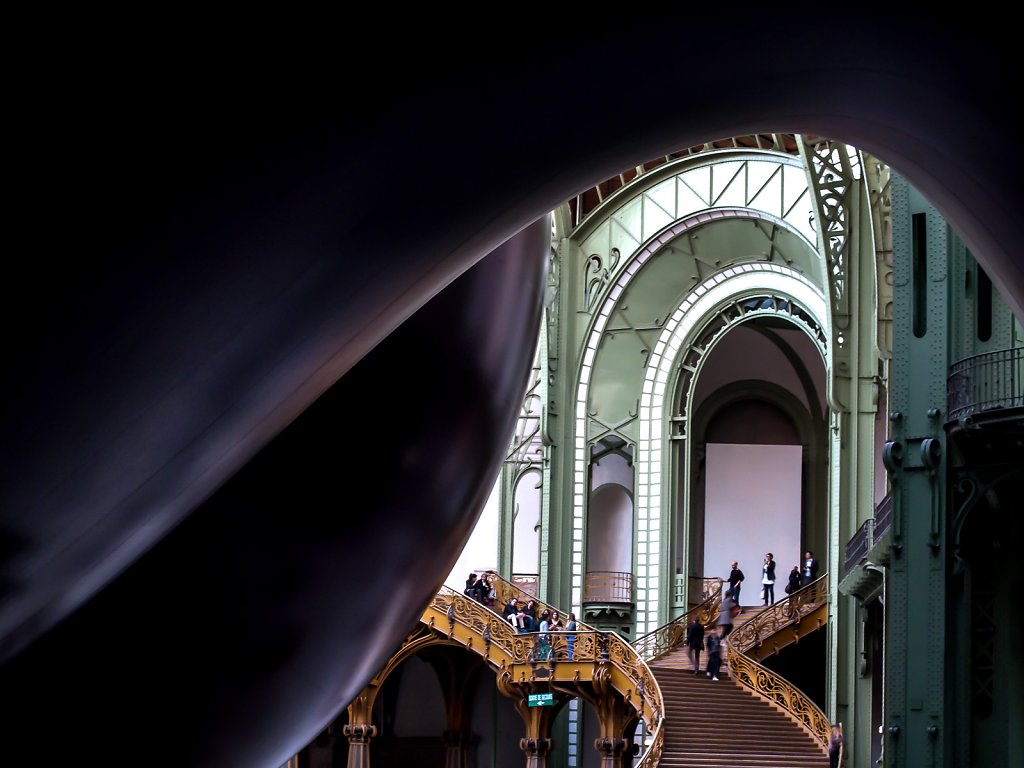 Anish Kapoor's leviathan