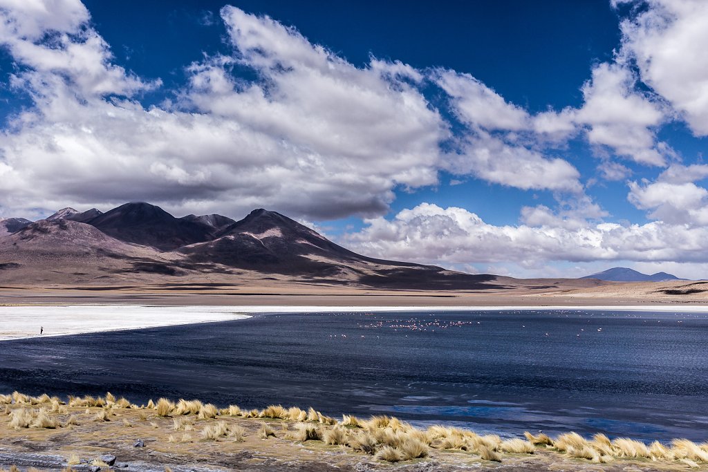 Laguna colorada