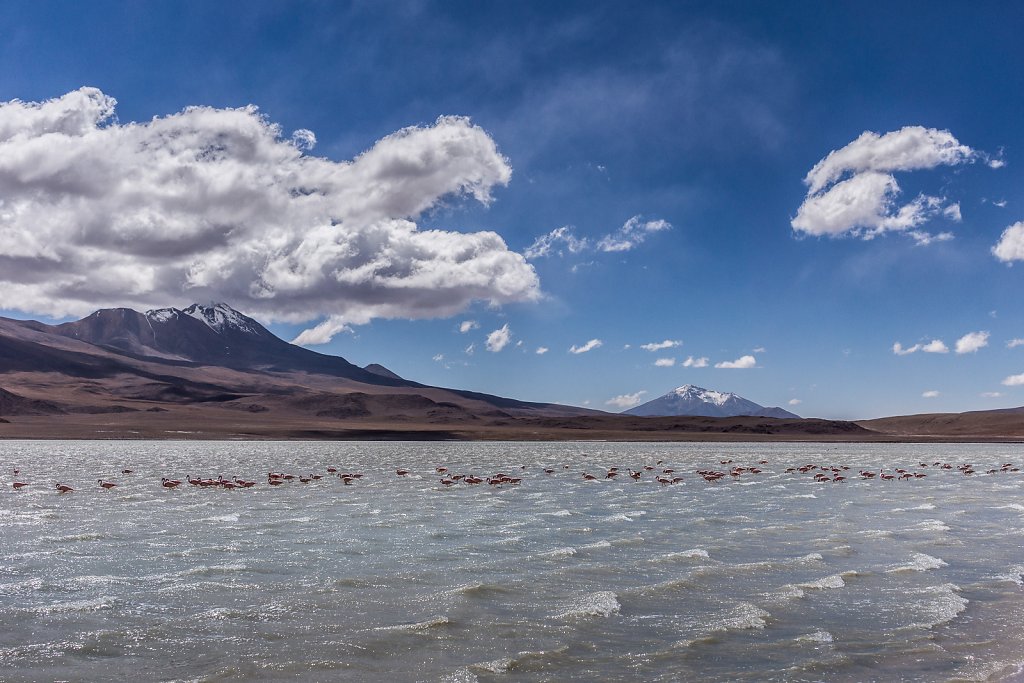 Laguna colorada