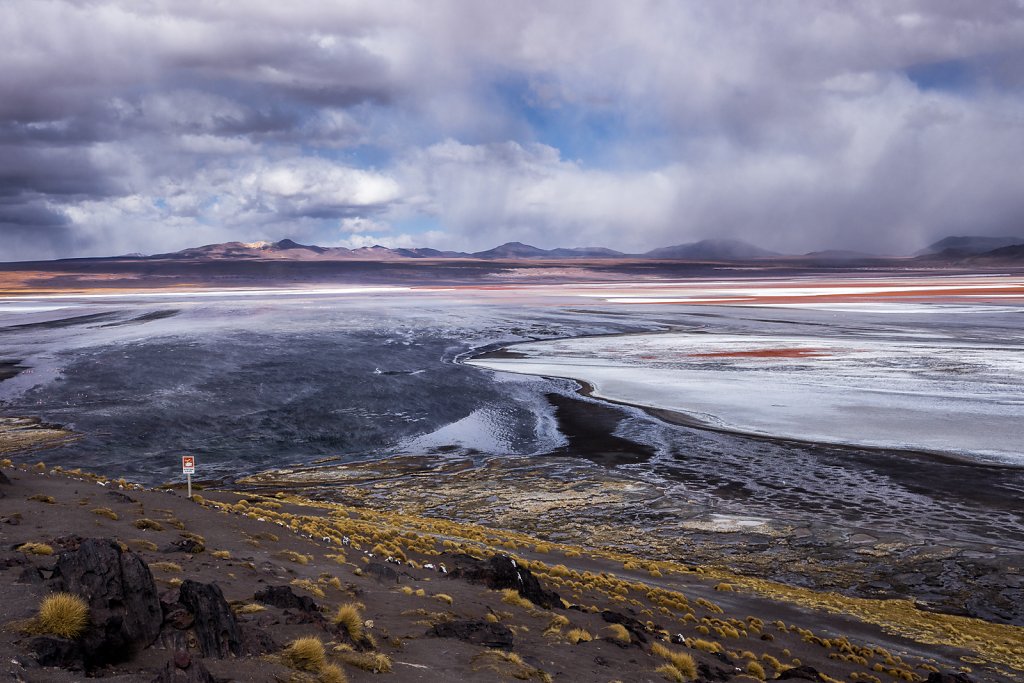 Laguna colorada