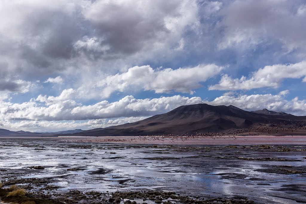 Laguna colorada